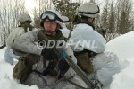 gvo_070308_103
