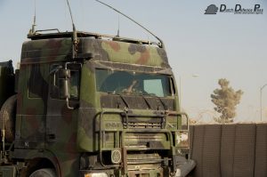 BSF_4378-1 BSF_4378-1