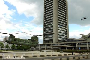 IMG_4814 IMG_4814