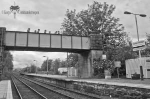 D120624JH011