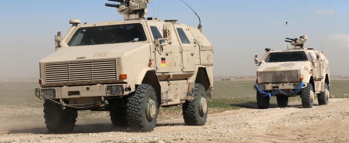 German Army orders 41 DINGO 2