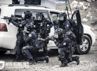 GIGN demo