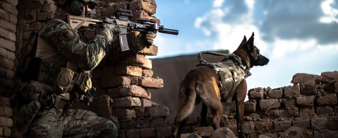 Unieke band tussen handler en zijn Multi-Purpose Combat Dog