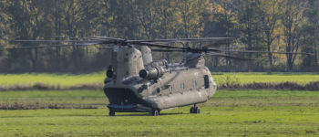 Falcon Autumn Valkenburg
